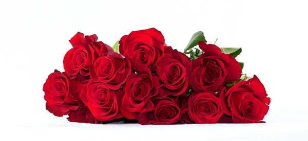 Inside Music: The Roses You Got for Valentine Day... 