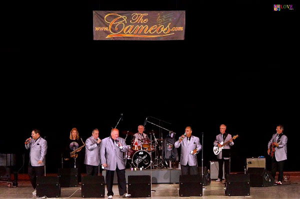 “Top Entertainment!” The Cameos LIVE! at PNC Bank Arts Center