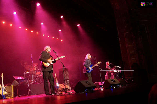 The Grass Roots, The 1910 Fruitgum Company, and Ron Dante LIVE! at The Strand Lakewood