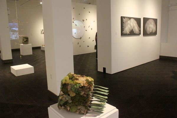 New Jersey Artists Are &#34;Navigating Elements&#34; at Rowan University Art Gallery