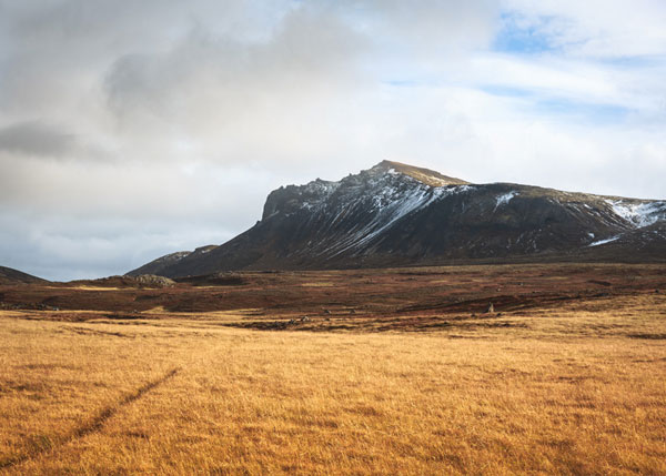 Nick Kiefer In Iceland