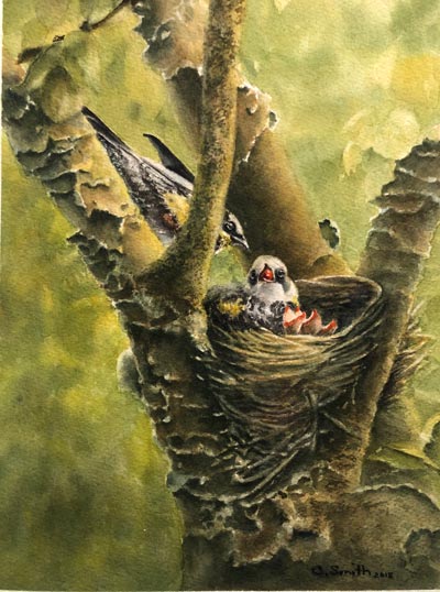 Garden State Watercolor Society and D&R Greenway Land Trust Present &#34;Out Of The Wild&#34; Exhibit