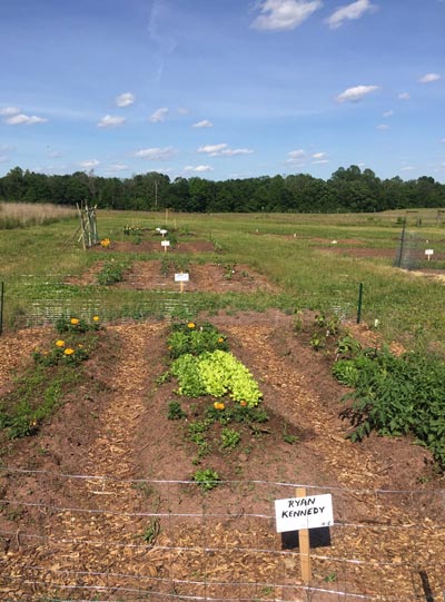 D&R Greenway Announces Pilot Year for  Community Victory Gardens at St. Michaels Farm Preserve