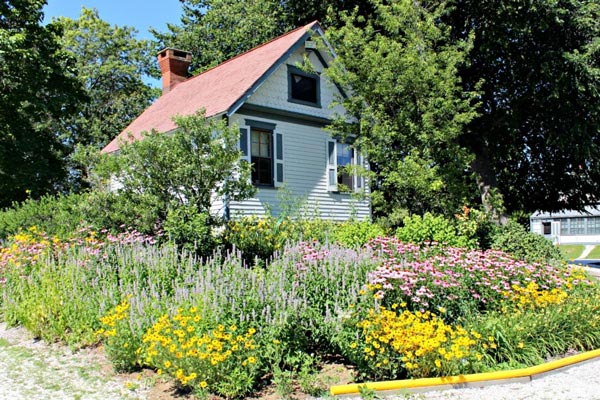 Gardens of Cape May Tour On June 12 features both private homes and public spaces