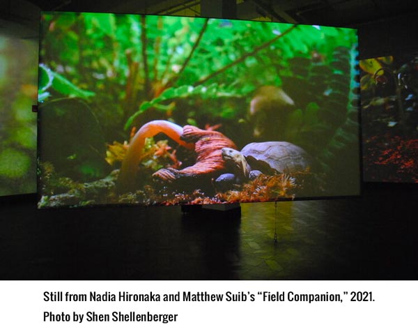 A &#34;Field Companion&#34; to a Microcosmic Forest at Rowan University Art Gallery