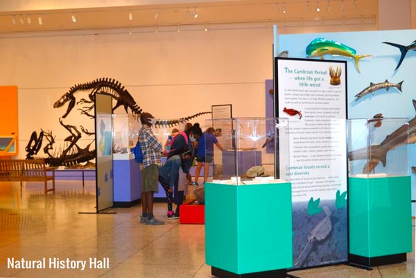 The New Jersey State Museum -- Guarding our Treasures