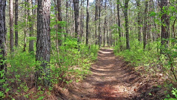 Middlesex County's Outdoor Guide features dozens of COVID-19-friendly 