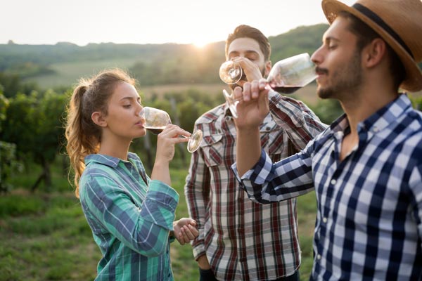 The 2021 Grand Harvest Wine Festival Takes Place October 9-10 In Morristown