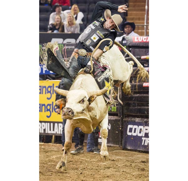 Professional Bull Riders Return to Madison Square Garden This Week