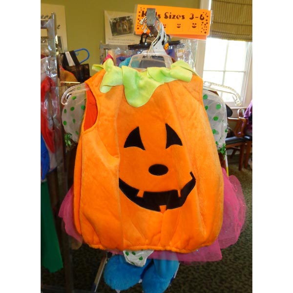 Upcycle Your Halloween Costume at Monmouth County Park System