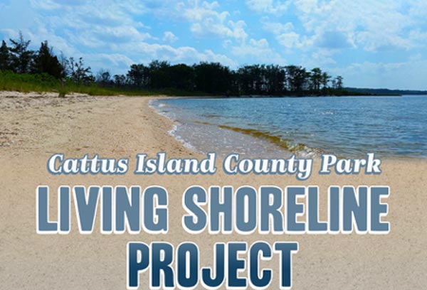 Ocean County Library Toms River Branch Presents “Cattus Island County Park: Living Shoreline Project”