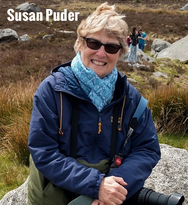 Discover Seasonal Coastal Birds with Naturalist Susan Puder At Four Ocean County Library Branches