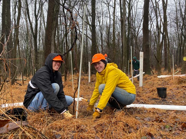 Over 25,000 New Trees (and counting) in the Sourlands!