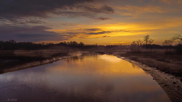 The Friends for Abbott Marshlands Announces Call For Art - Voices for the Marsh Juried Photography Exhibit