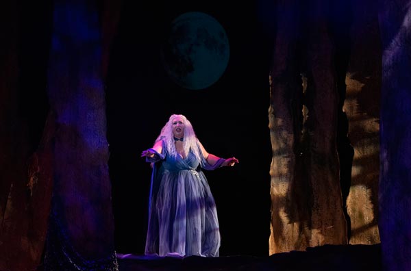 Photos from &#34;Into The Woods&#34; at Algonquin Arts Theatre