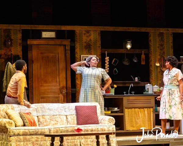 PHOTOS from &#34;Raisin&#34; at Axelrod PAC