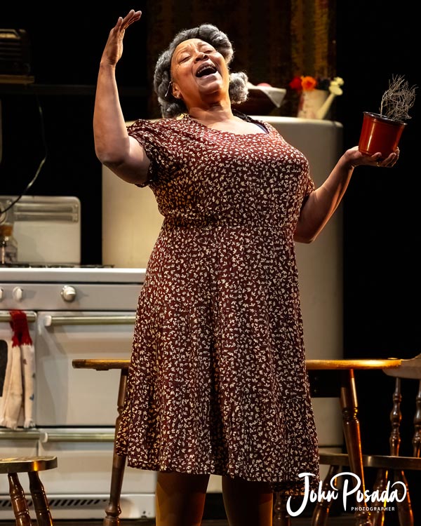 PHOTOS from &#34;Raisin&#34; at Axelrod PAC