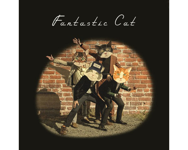 Fantastic Cat covers "Band on the Run" to Celebrate its 50th Anniversary