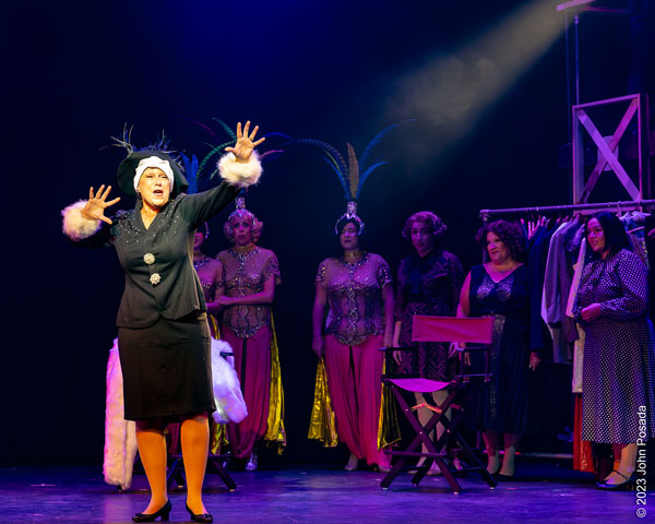 PHOTOS from &#34;Sunset Boulevard&#34; at Music Mountain Theatre