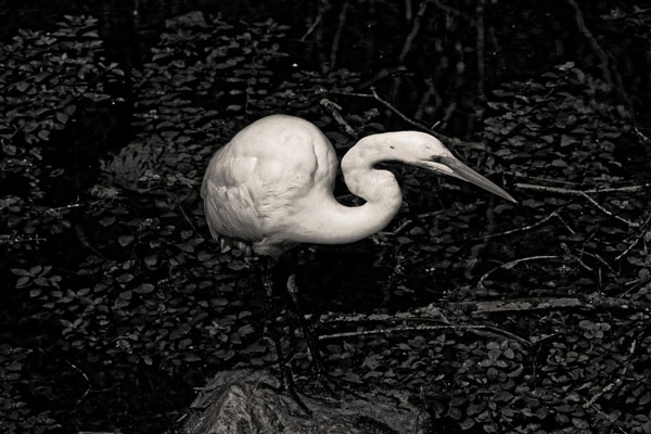 National Parks, City Life, and Virginia Woolf Inspire Xiomaro's New Jersey Photo Exhibits