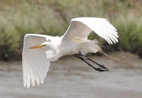 Photography by Kate Sanchez on Display at Ocean County Library Little Egg Harbor Branch throughout June