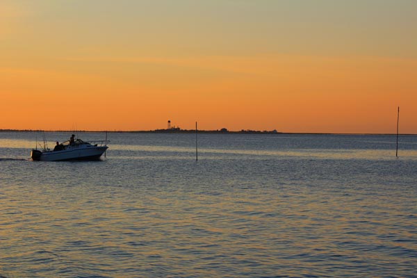 Photography by Kate Sanchez on Display at Ocean County Library Little Egg Harbor Branch throughout June