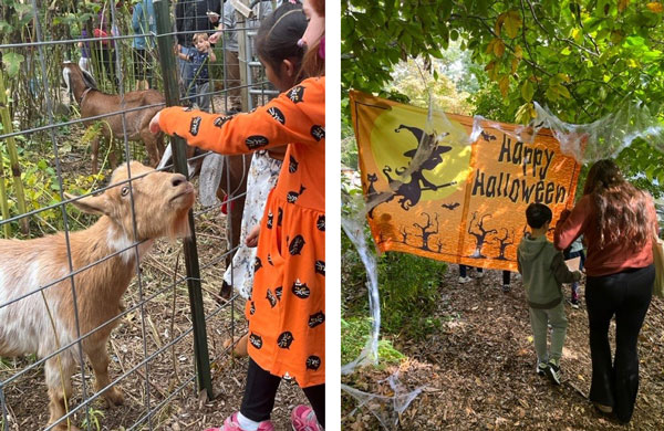 Reeves-Reed Arboretum to Celebrate October with Two Fall Festivals