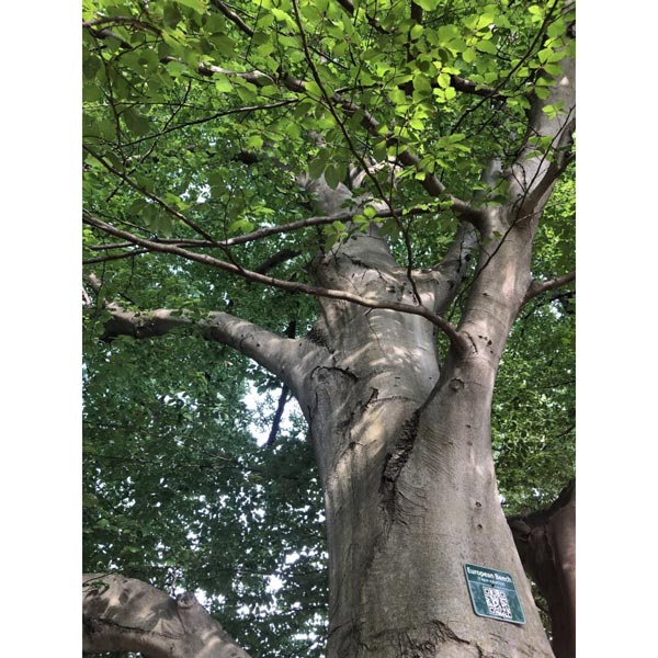 Union County Awards Arbor Day Poetry Contest Winners