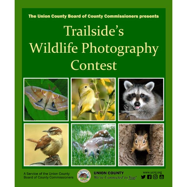 Wildlife Pictures Contest Returns to Union County Wildlife Pictures Contest Returns to Union County