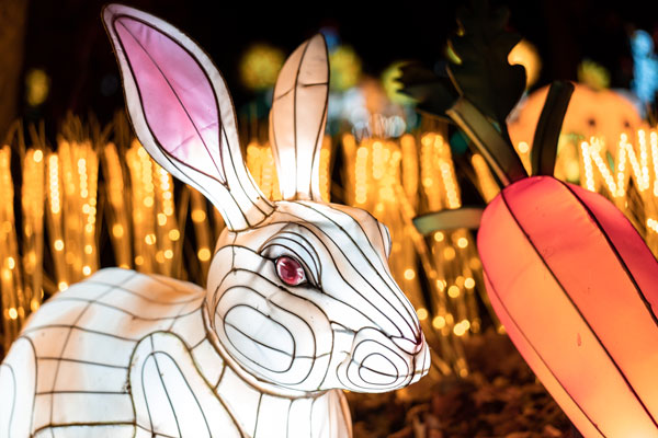 The Winter Lantern Festival to Make its New Jersey Debut this October