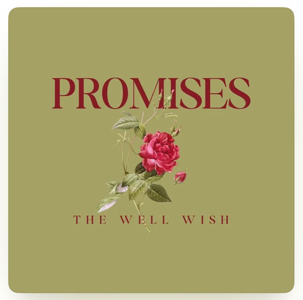 Makin Waves Album of the Month: &#34;Promises&#34; by The Well Wish