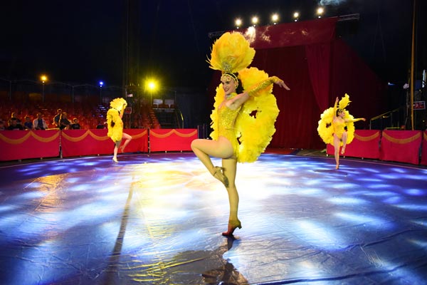 Renowned Do Portugal Circus is bringing its world class show to Woodbridge from April 7-23