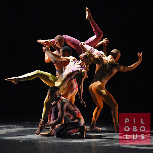 MPAC presents PILOBOLUS re:CREATION Tour