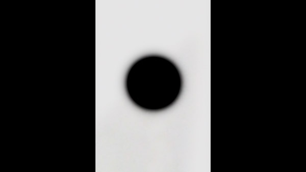 It Needs to Be Seen! Don’t Look in The Dark premieres at the 2026 New Jersey Film Festival on January 31!