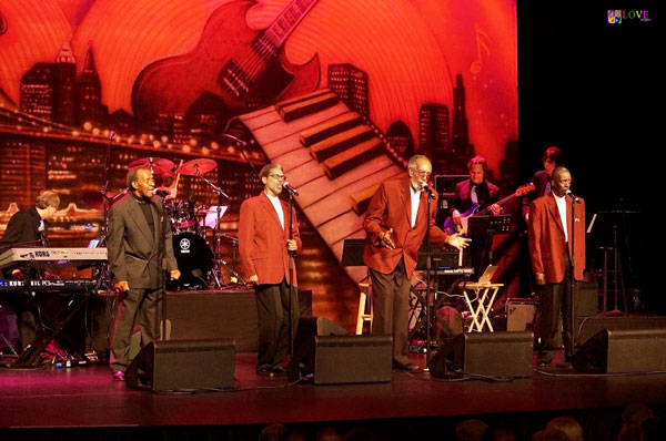 Those Oldies But Goodies!” Pop, Rock and Doo Wopp LIVE! at The
